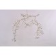 AM1330 BLOSSOM